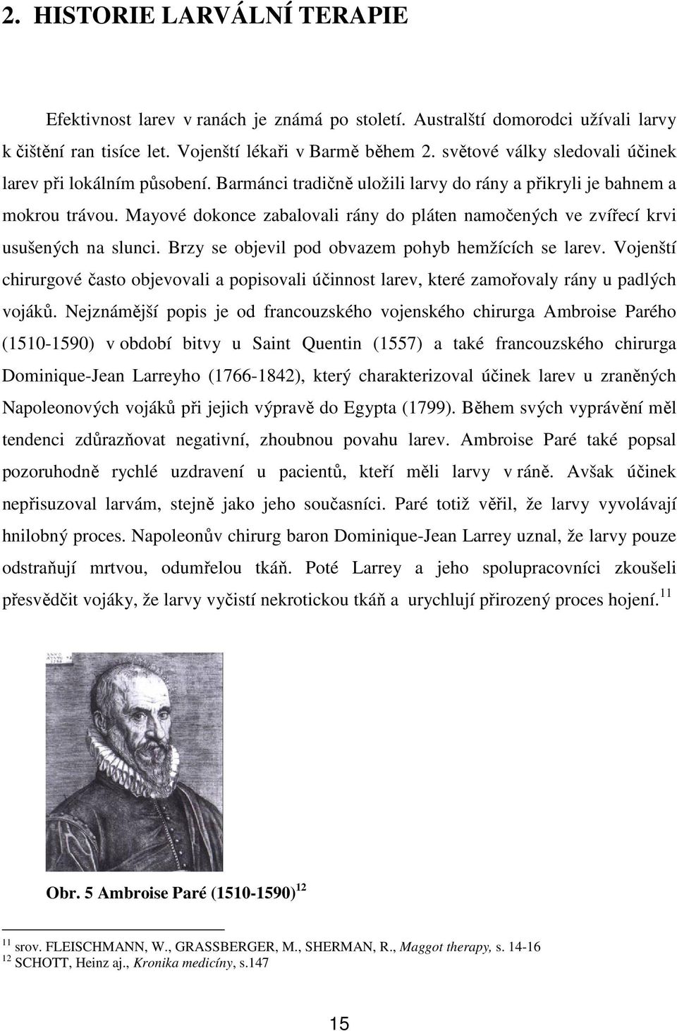 Mayové dokonce zabalovali rány do pláten namočených ve zvířecí krvi usušených na slunci. Brzy se objevil pod obvazem pohyb hemžících se larev.