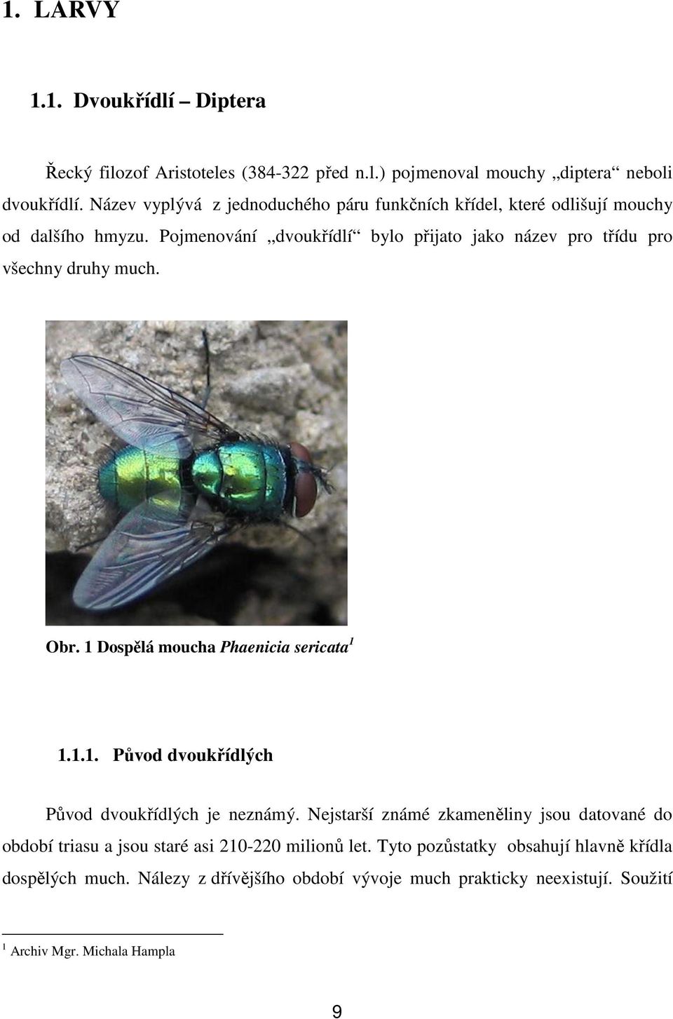 Pojmenování dvoukřídlí bylo přijato jako název pro třídu pro všechny druhy much. Obr. 1 Dospělá moucha Phaenicia sericata 1 1.1.1. Původ dvoukřídlých Původ dvoukřídlých je neznámý.