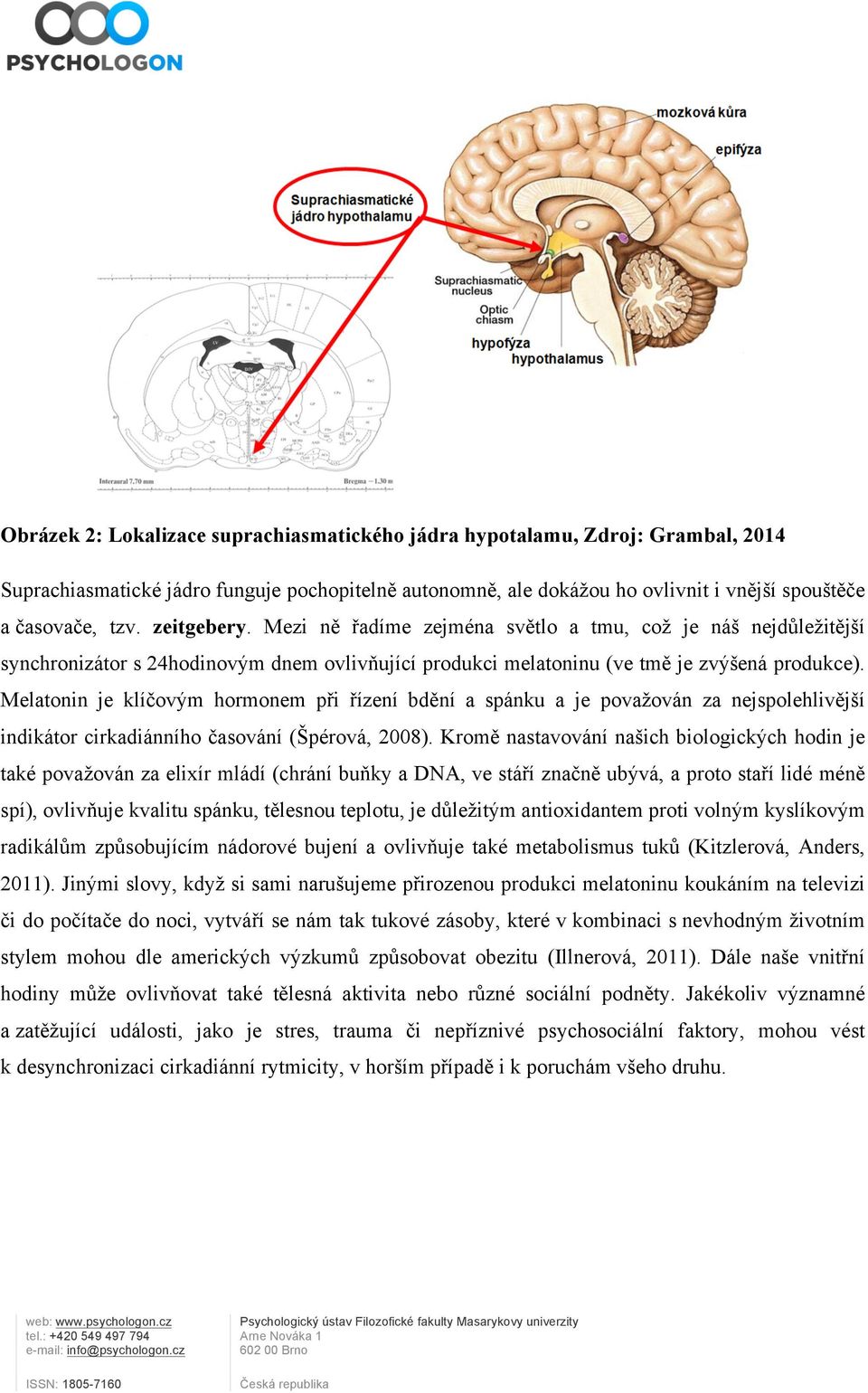 Melatonin je klíčovým hormonem při řízení bdění a spánku a je považován za nejspolehlivější indikátor cirkadiánního časování (Špérová, 2008).