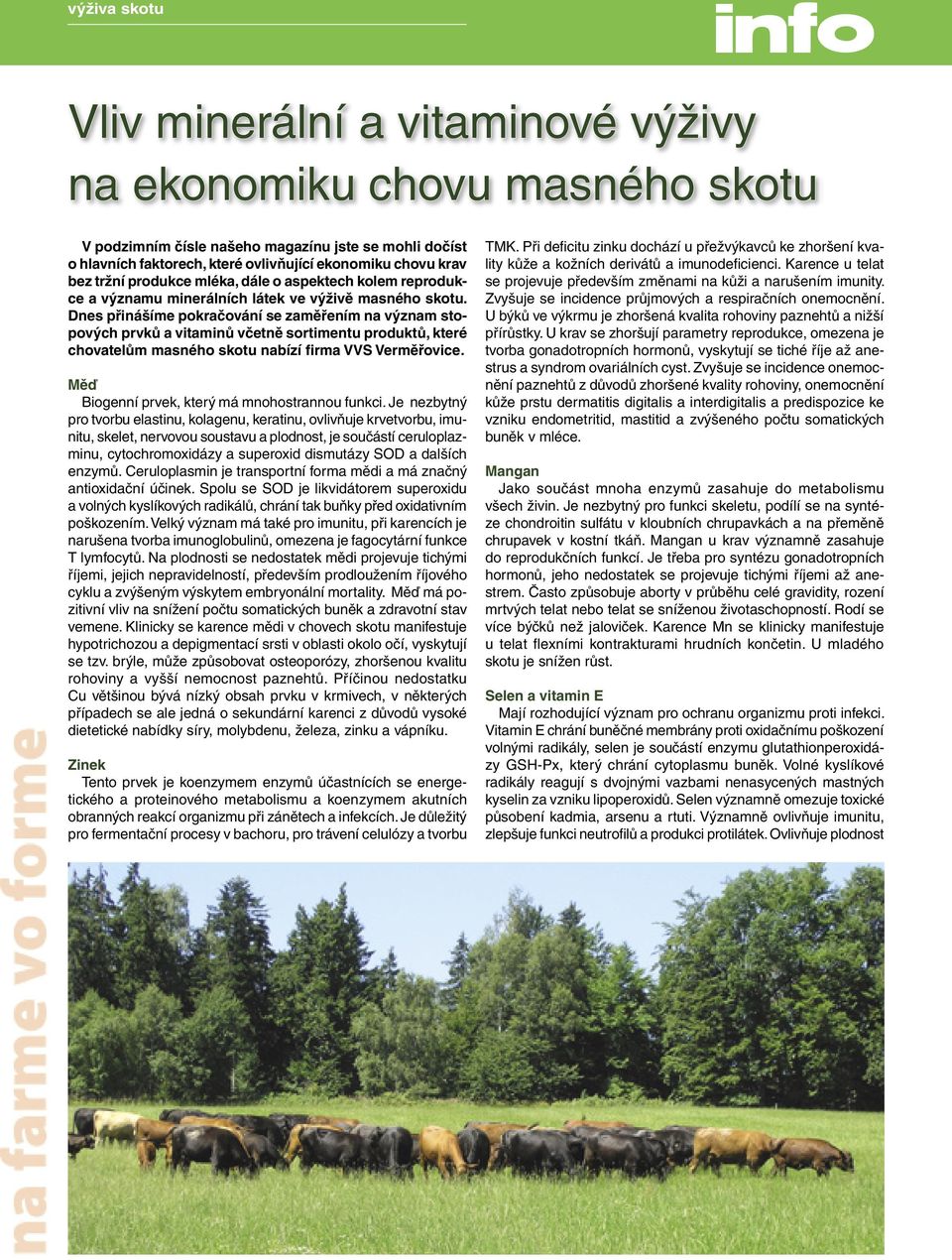 Dnes přinášíme pokračování se zaměřením na význam stopových prvků a vitaminů včetně sortimentu produktů, které chovatelům masného skotu nabízí firma VVS Verměřovice.