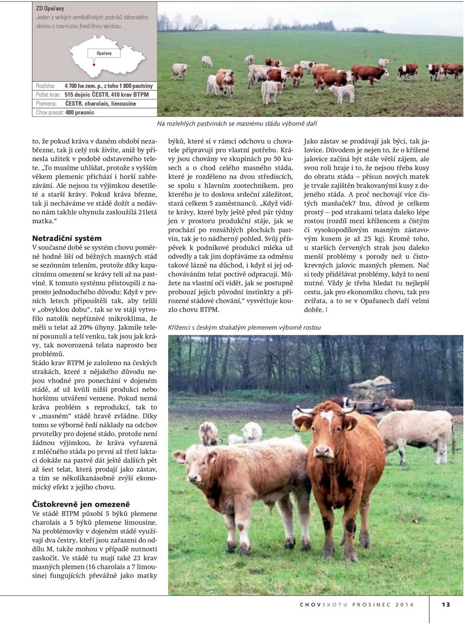 , z toho 1 800 pastviny Počet krav: 515 dojnic ČESTR, 410 krav BTPM Plemena: ČESTR, charolais, limousine Chov prasat: 480 prasnic Na rozlehlých pastvinách se masnému stádu výborně daří to, že pokud