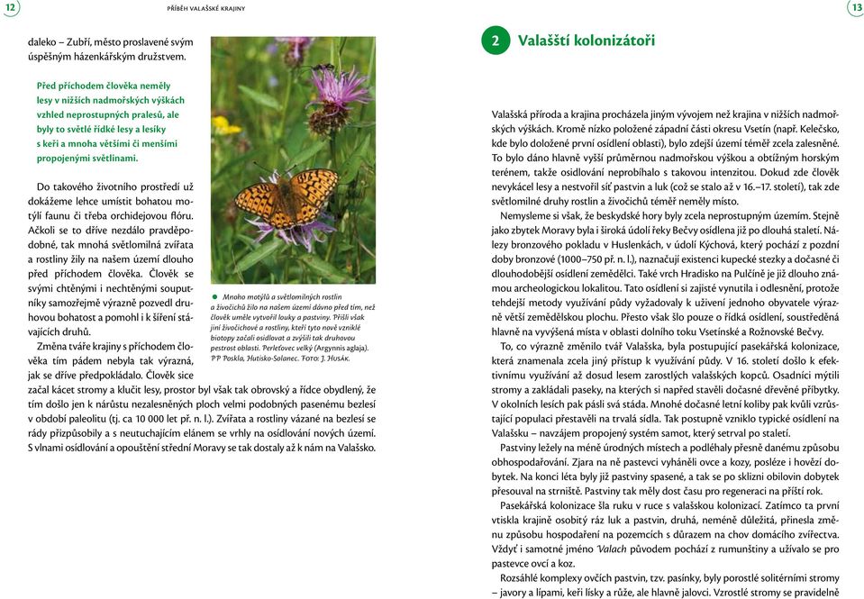 propojenými světlinami. Do takového životního prostředí už dokážeme lehce umístit bohatou motýlí faunu či třeba orchidejovou flóru.