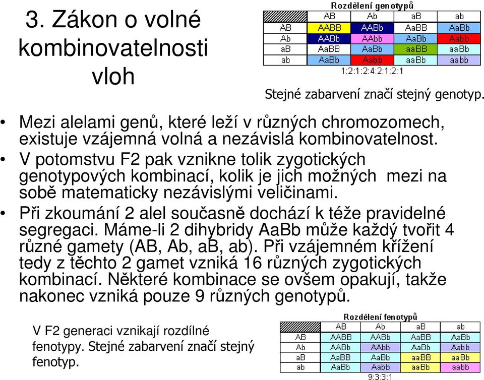 V potomstvu F2 pak vznikne tolik zygotických genotypových kombinací, kolik je jich možných mezi na sobě matematicky nezávislými veličinami.