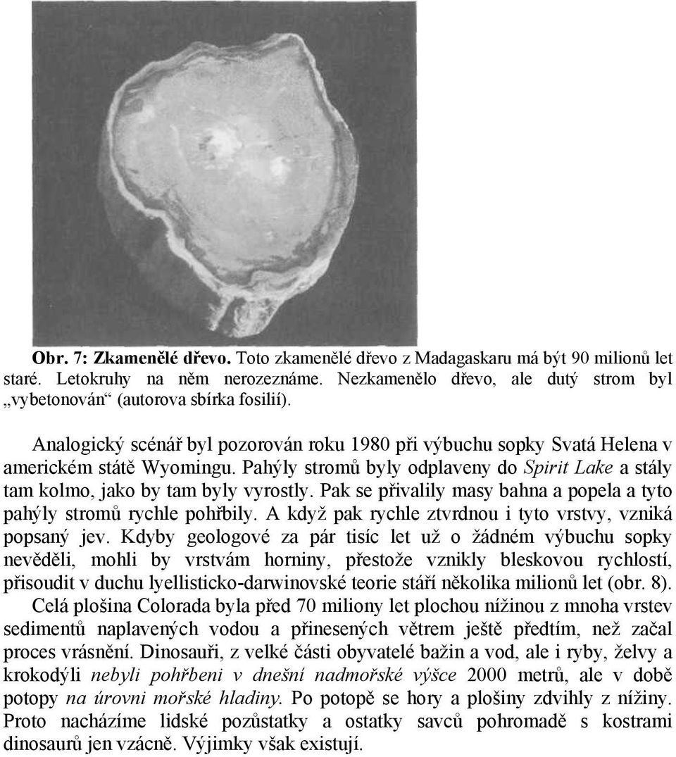 Pak se přivalily masy bahna a popela a tyto pahýly stromů rychle pohřbily. A když pak rychle ztvrdnou i tyto vrstvy, vzniká popsaný jev.