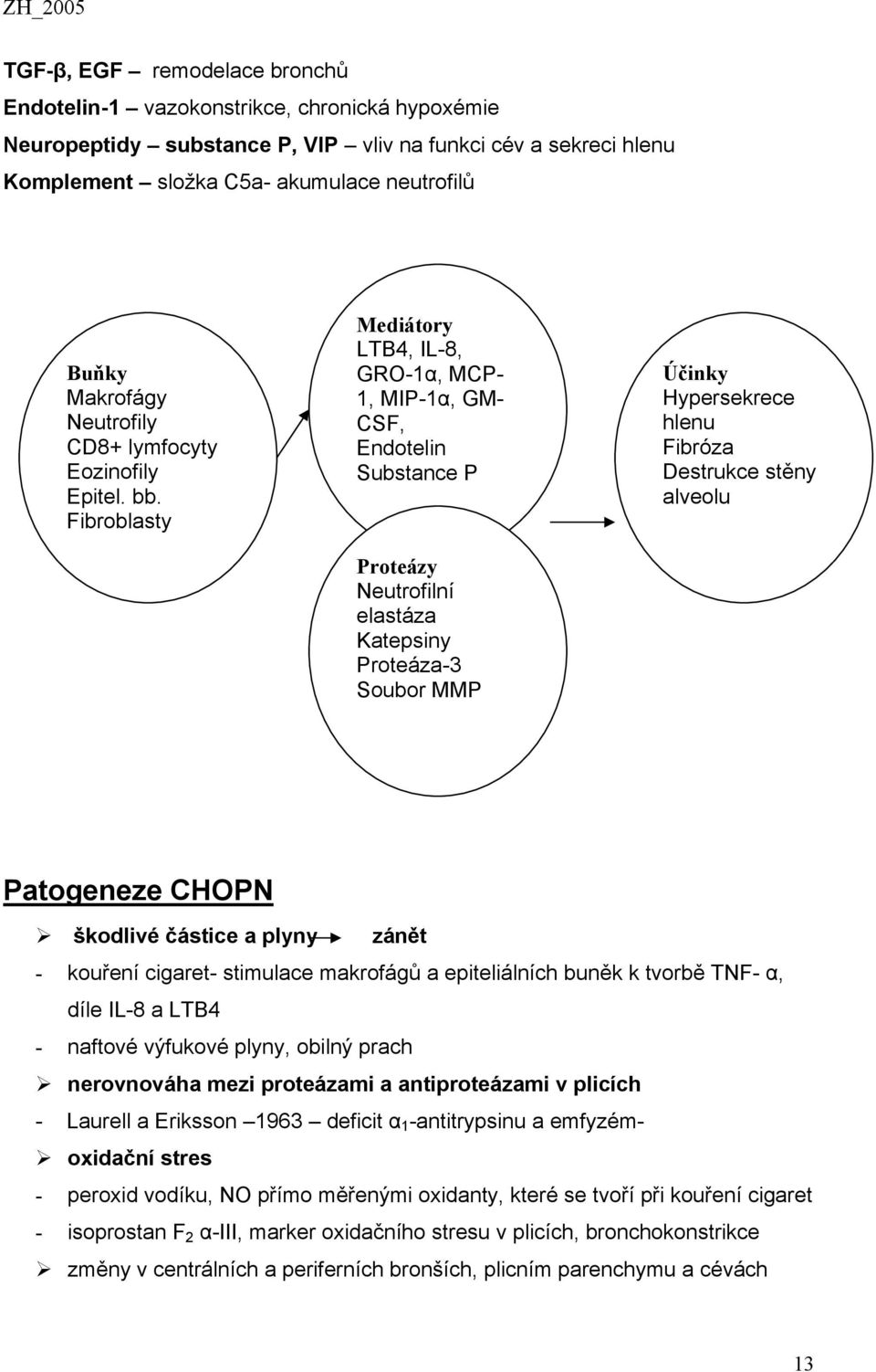 Fibroblasty Mediátory LTB4, IL-8, GRO-1α, MCP- 1, MIP-1α, GM- CSF, Endotelin Substance P Proteázy Neutrofilní elastáza Katepsiny Proteáza-3 Soubor MMP Účinky Hypersekrece hlenu Fibróza Destrukce