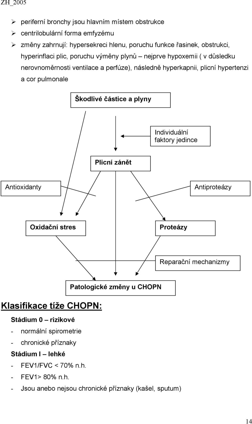 plyny Individuální faktory jedince Plicní zánět Antioxidanty Antiproteázy Oxidační stres Proteázy Reparační mechanizmy Klasifikace tíže CHOPN: Patologické změny u CHOPN