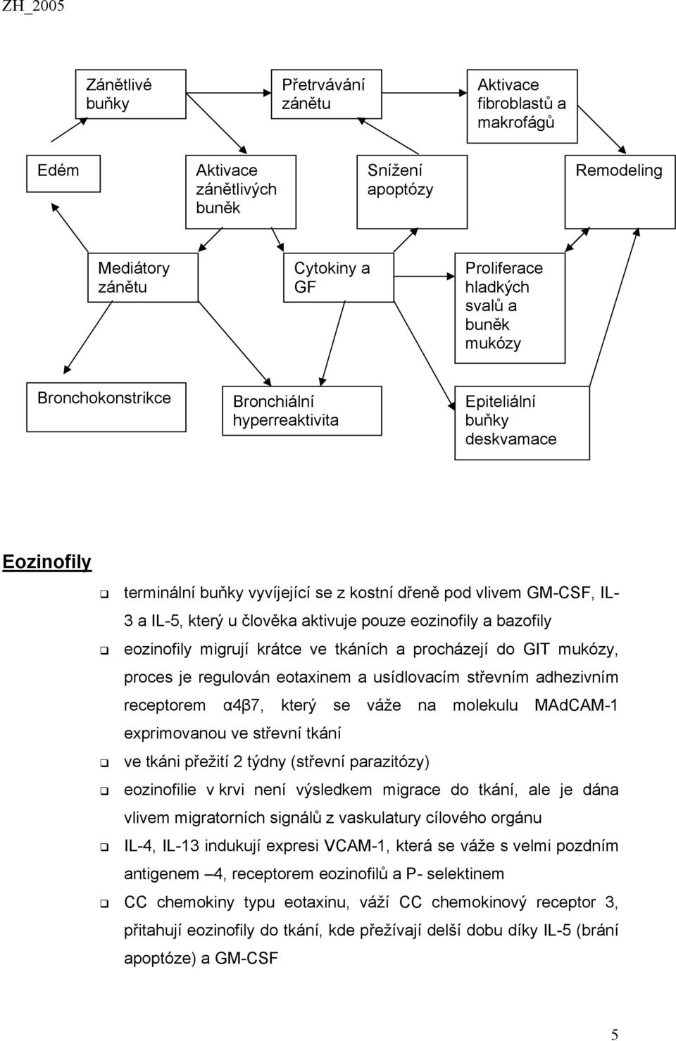 pouze eozinofily a bazofily eozinofily migrují krátce ve tkáních a procházejí do GIT mukózy, proces je regulován eotaxinem a usídlovacím střevním adhezivním receptorem α4β7, který se váže na molekulu