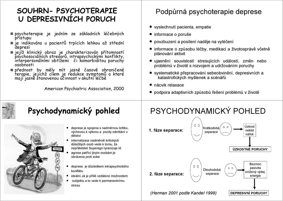 jejichž cílem je redukce symptomů a které mají jasně stanovenou účinnost v akutní léčbě American Psychiatric Association, 2000 Podpůrná psychoterapie deprese vyslechnutí pacienta, empatie informace o