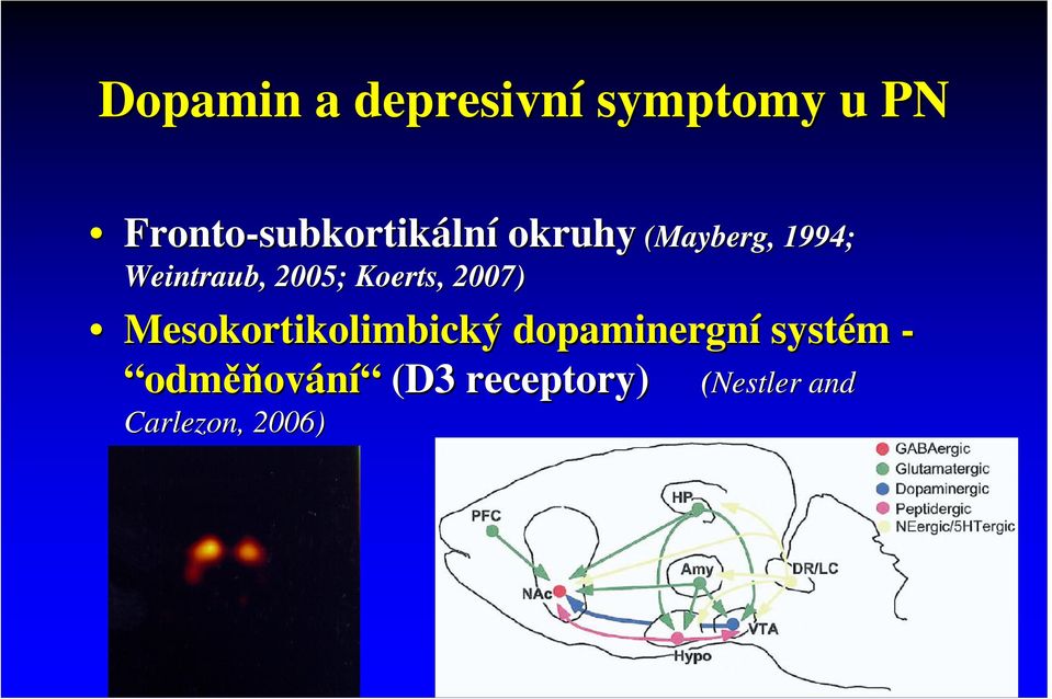 2005; Koerts,, 2007) Mesokortikolimbický dopaminergní