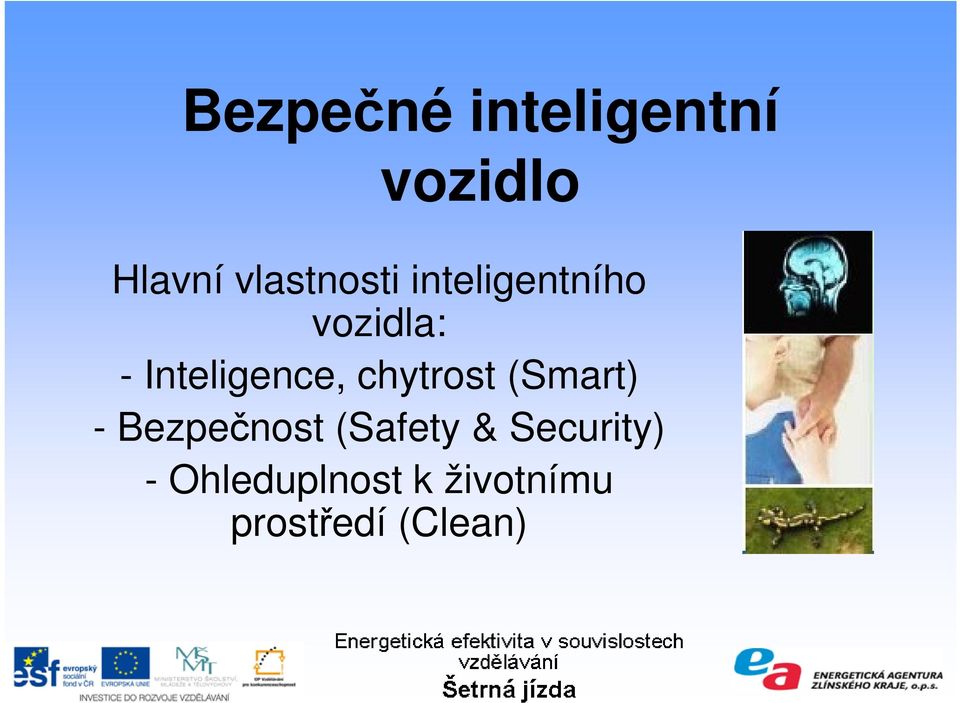 Inteligence, chytrost (Smart) - Bezpečnost