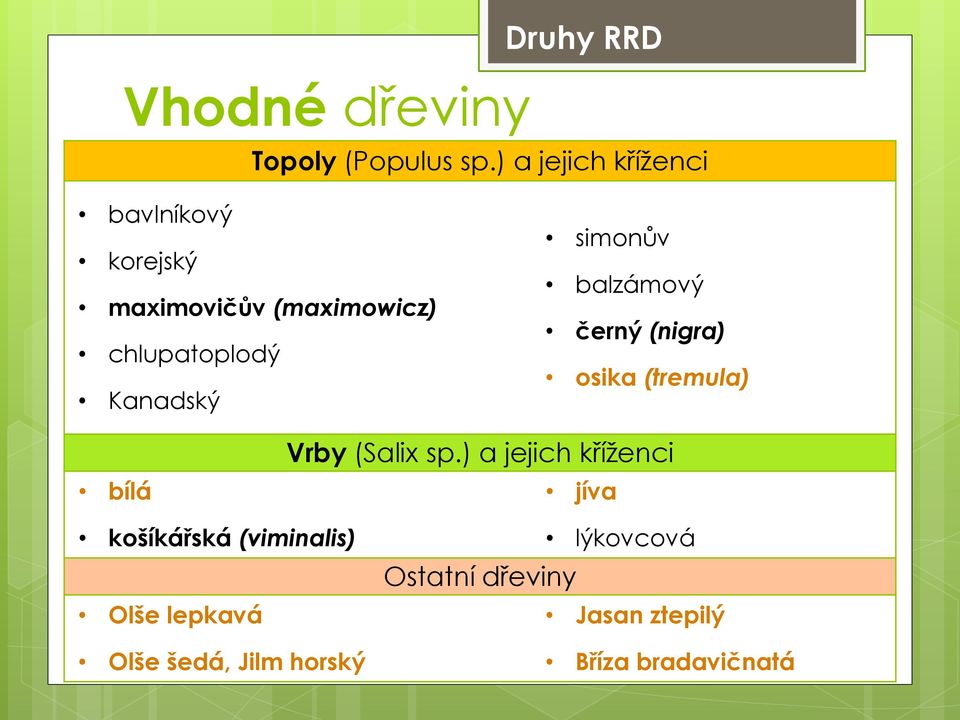 Kanadský simonův balzámový černý (nigra) osika (tremula) bílá Vrby (Salix sp.