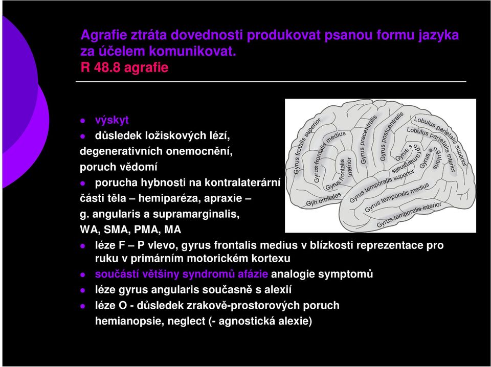 hemiparéza, apraxie g.