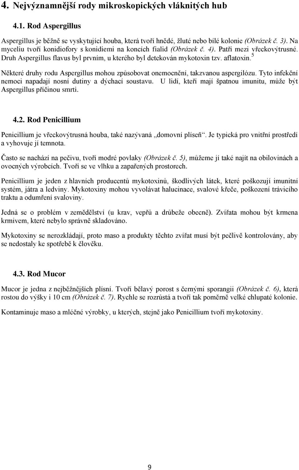 5 Některé druhy rodu Aspergillus mohou způsobovat onemocnění, takzvanou aspergilózu. Tyto infekční nemoci napadají nosní dutiny a dýchací soustavu.