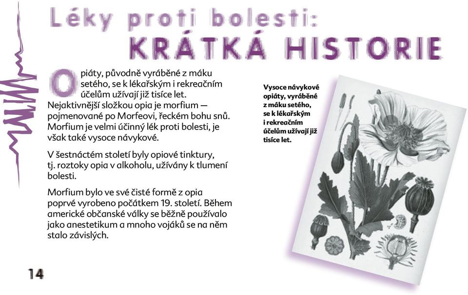 V šestnáctém století byly opiové tinktury, tj. roztoky opia v alkoholu, užívány k tlumení bolesti. Morfium bylo ve své čisté formě z opia poprvé vyrobeno počátkem 19.