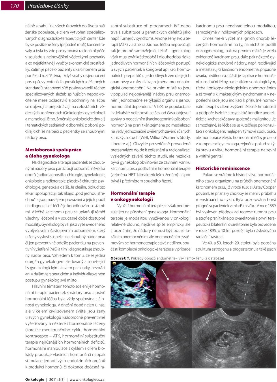 Zatím je péče o pacienty s karcinomem prsu poněkud roztříštěná, i když snahy o sjednocení postupů, vytvoření diagnostických a léčebných standardů, stanovení sítě poskytovatelů těchto specializovaných