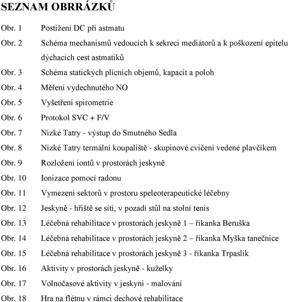 Vyšetření spirometrie Protokol SVC + F/V Nízké Tatry - výstup do Smutného Sedla Nízké Tatry termální koupaliště - skupinové cvičení vedené plavčíkem Rozloţení iontŧ v prostorách jeskyně Ionizace