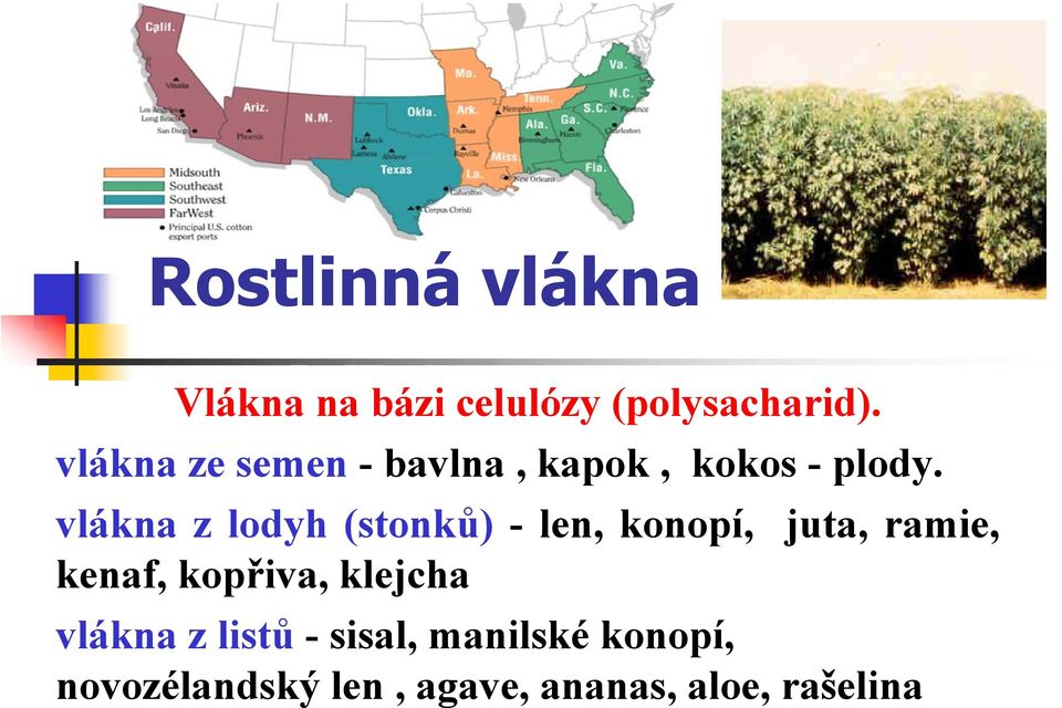 vlákna z lodyh (stonků) - len, konopí, juta, ramie, kenaf, kopřiva,