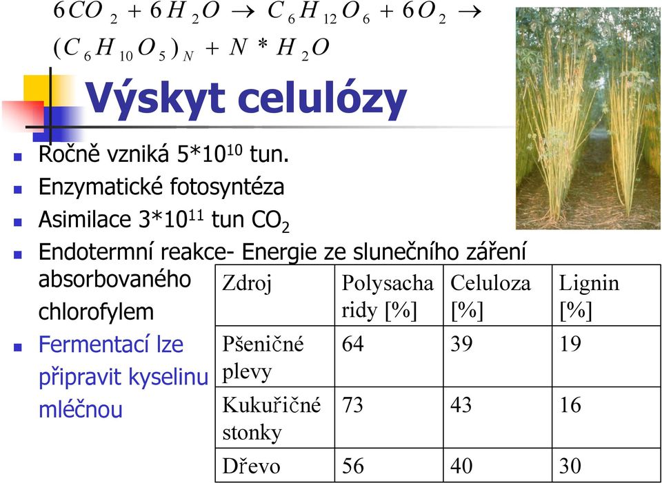 slunečního záření absorbovaného chlorofylem Zdroj Polysacha ridy [%] eluloza [%] Fermentací