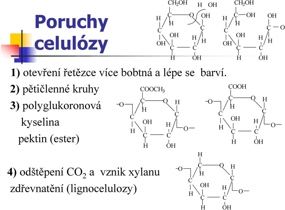 OO 3 O O O O 4) odštěpení O 2 a vznik xylanu zdřevnatění