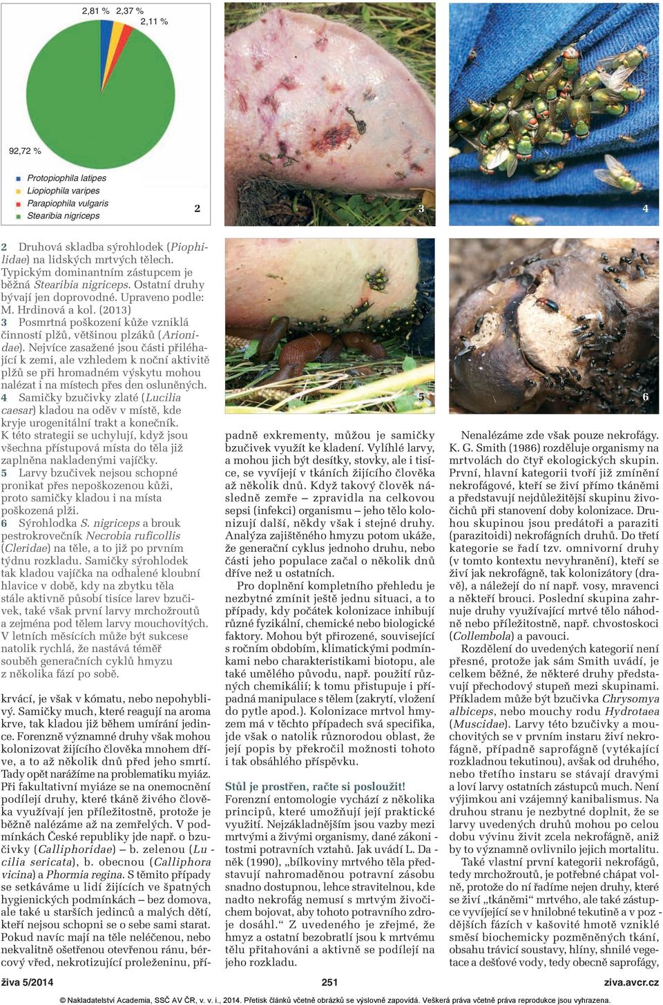 (2013) 3 Posmrtná poškození kůže vzniklá činností plžů, většinou plzáků (Arionidae).