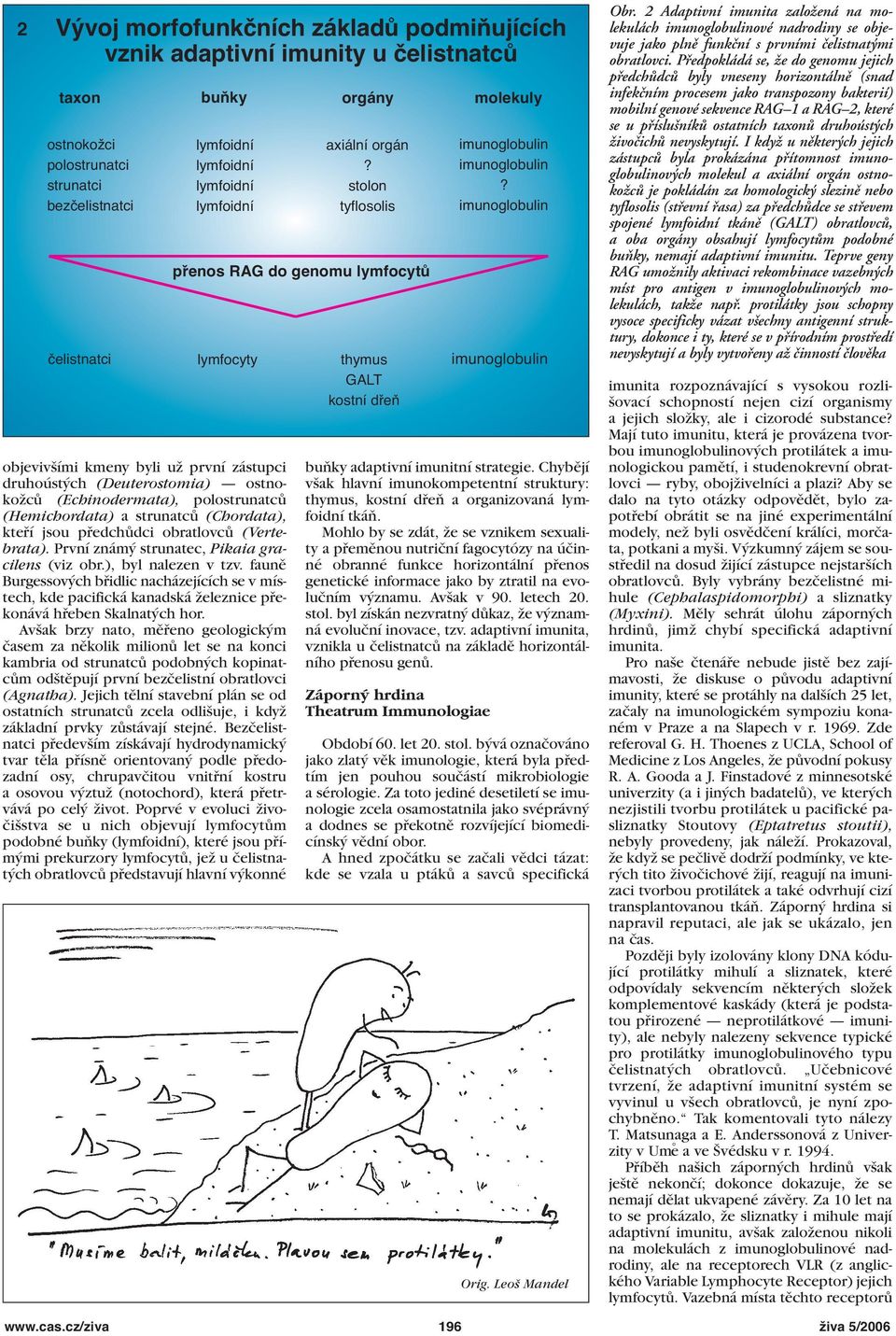 První známý strunatec, Pikaia gracilens (viz obr.), byl nalezen v tzv. fauně Burgessových břidlic nacházejících se v místech, kde pacifická kanadská železnice překonává hřeben Skalnatých hor.