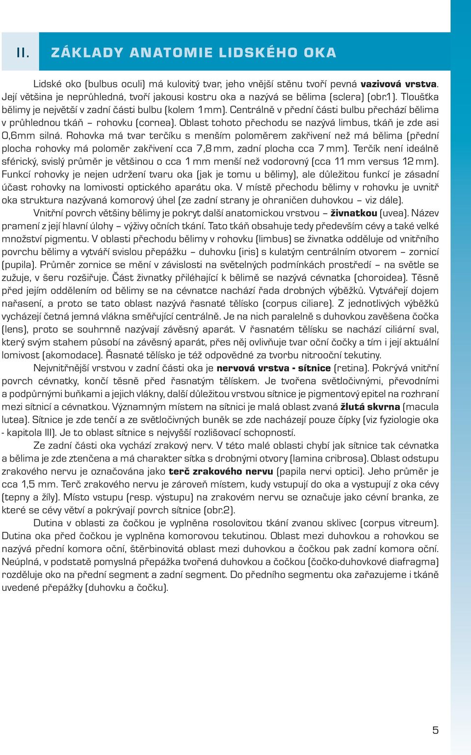 Centrálně v přední části bulbu přechází bělima v průhlednou tkáň rohovku (cornea). Oblast tohoto přechodu se nazývá limbus, tkáň je zde asi 0,6mm silná.