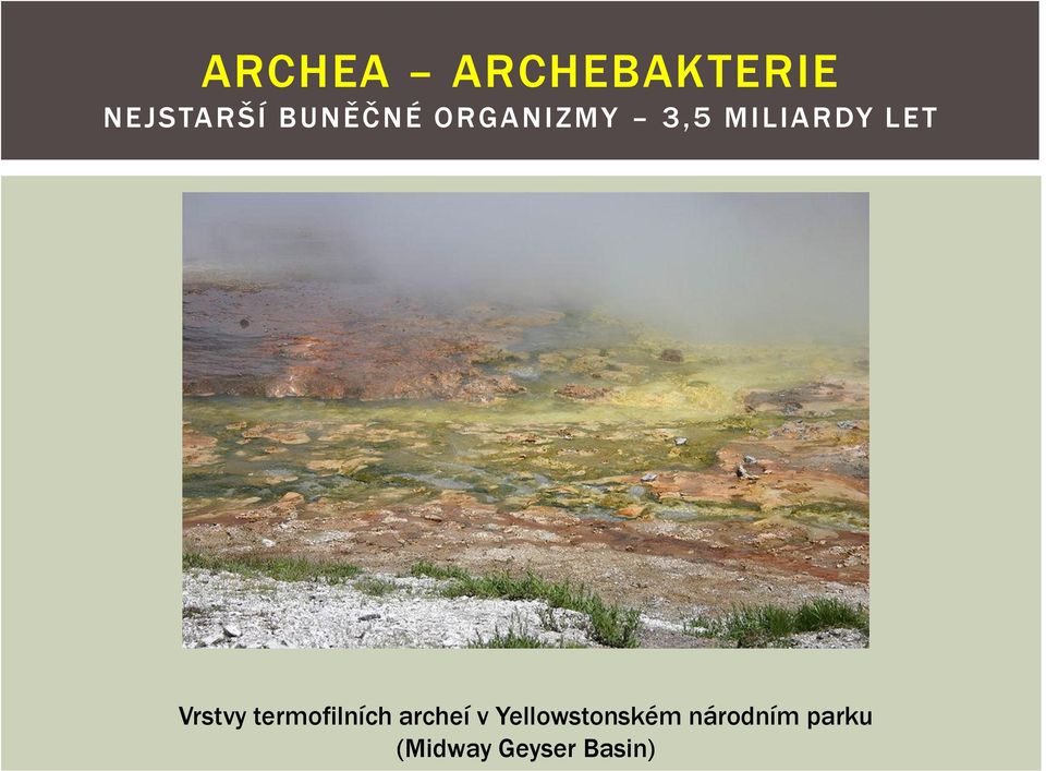 Vrstvy termofilních archeí v