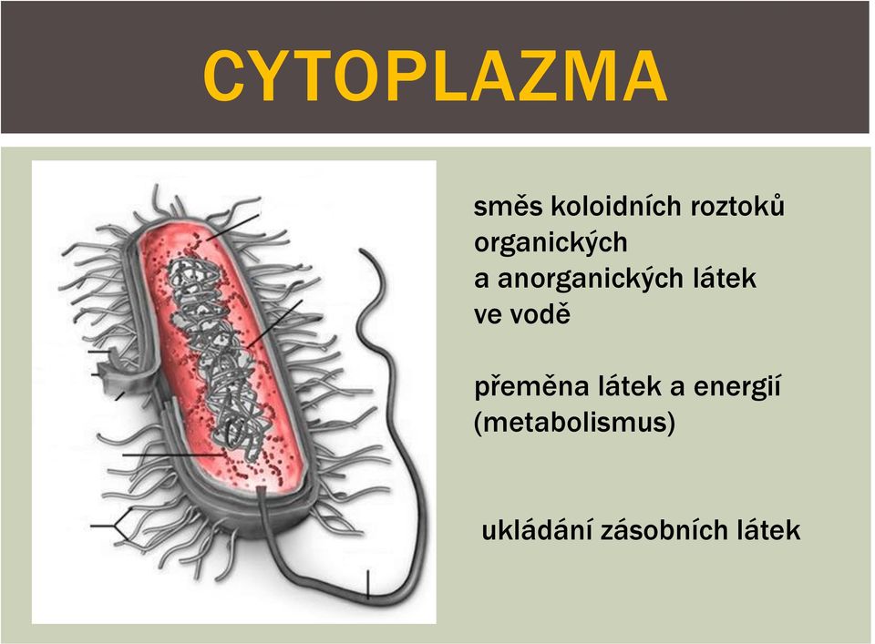 ve vodě přeměna látek a energií