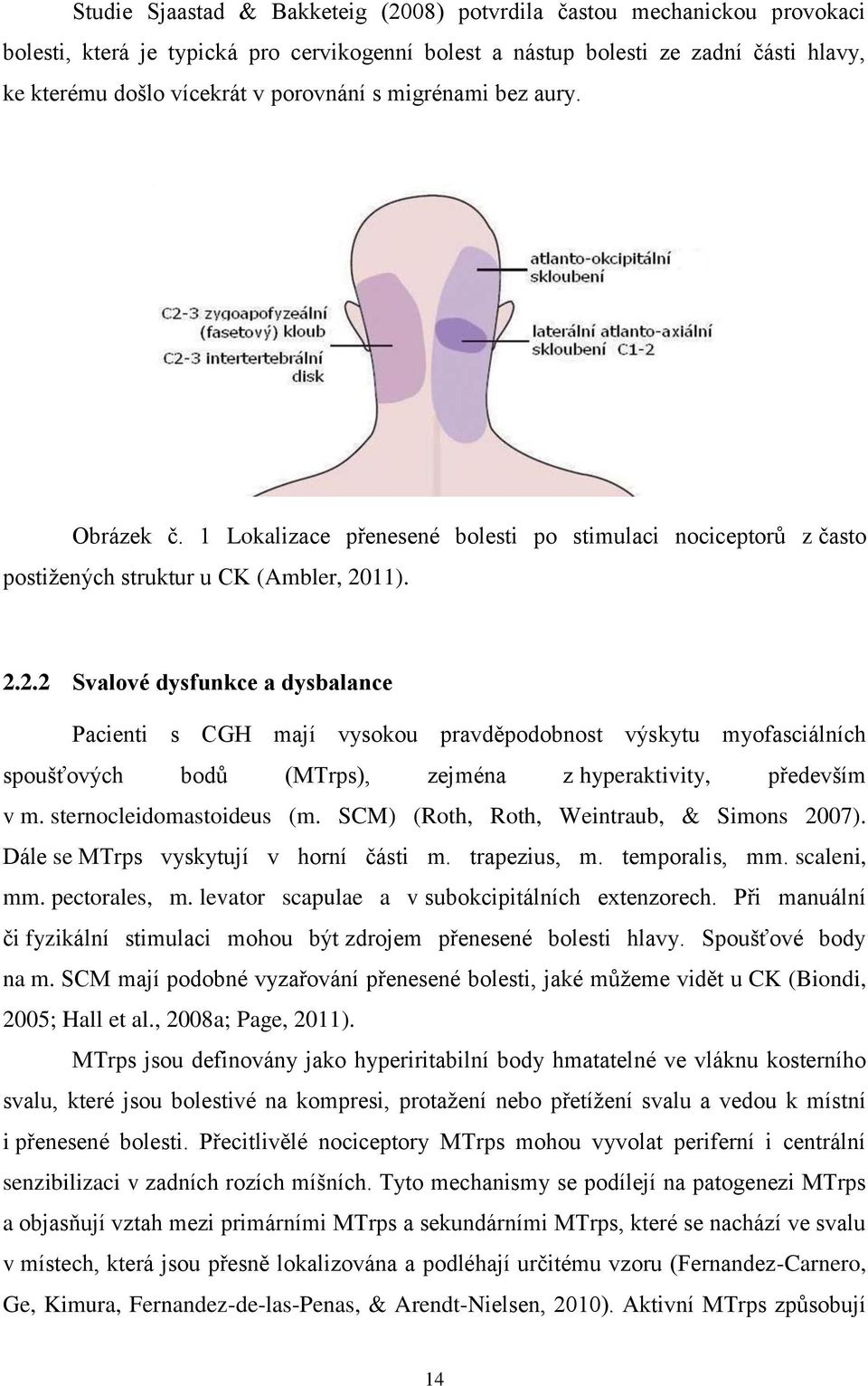 11). 2.2.2 Svalové dysfunkce a dysbalance Pacienti s CGH mají vysokou pravděpodobnost výskytu myofasciálních spoušťových bodů (MTrps), zejména z hyperaktivity, především v m.