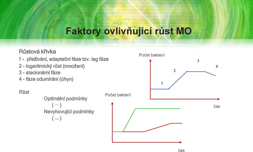 lag fáze 2 - logaritmický růst (množení) 3 - stacionární fáze 4 -