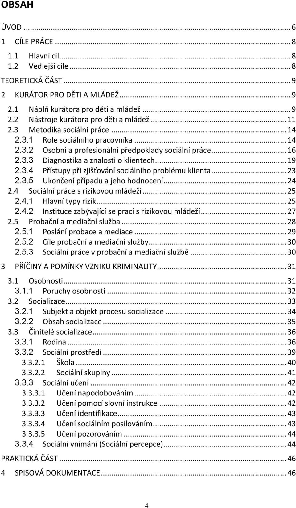 .. 23 2.3.5 Ukončení případu a jeho hodnocení... 24 2.4 Sociální práce s rizikovou mládeží... 25 2.4.1 Hlavní typy rizik... 25 2.4.2 Instituce zabývající se prací s rizikovou mládeží... 27 2.