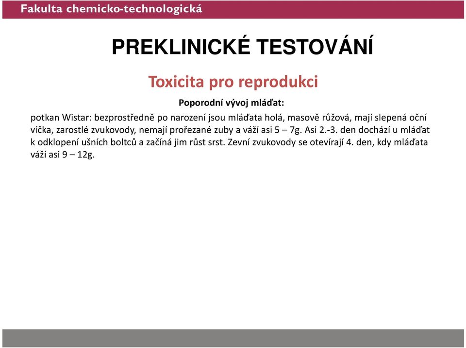 nemají prořezané zubya váží asi 5 7g. Asi 2.-3.