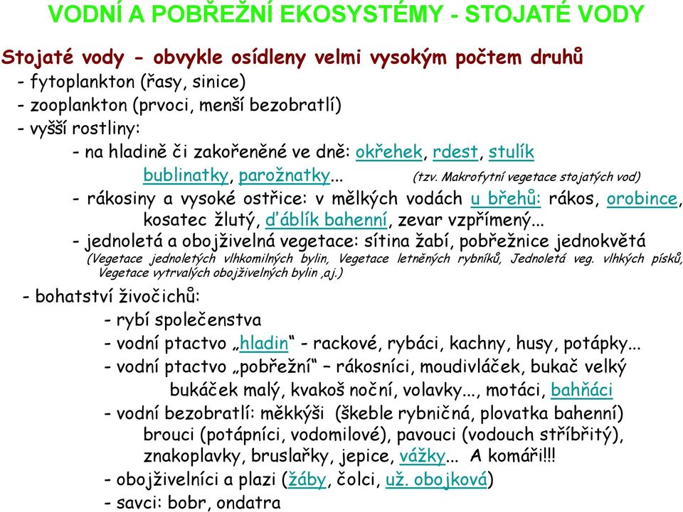 Makrofytní vegetace stojatých vod) - rákosiny a vysoké ostřice: v mělkých vodách u břehů: rákos, orobince, kosatec žlutý, ďáblík bahenní, zevar vzpřímený.