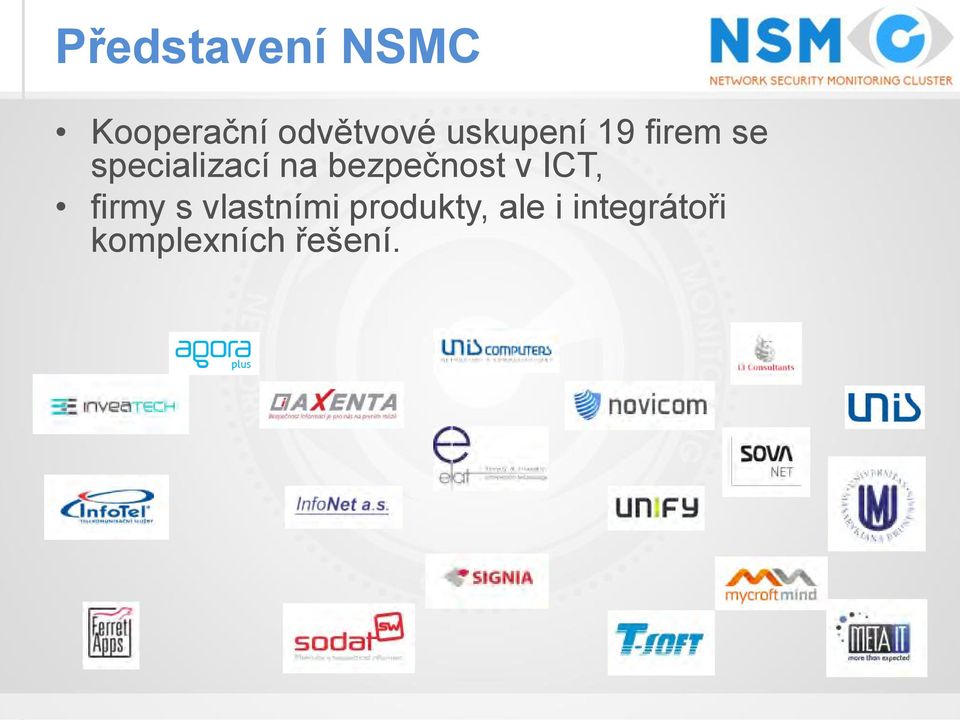 bezpečnost v ICT, firmy s vlastními