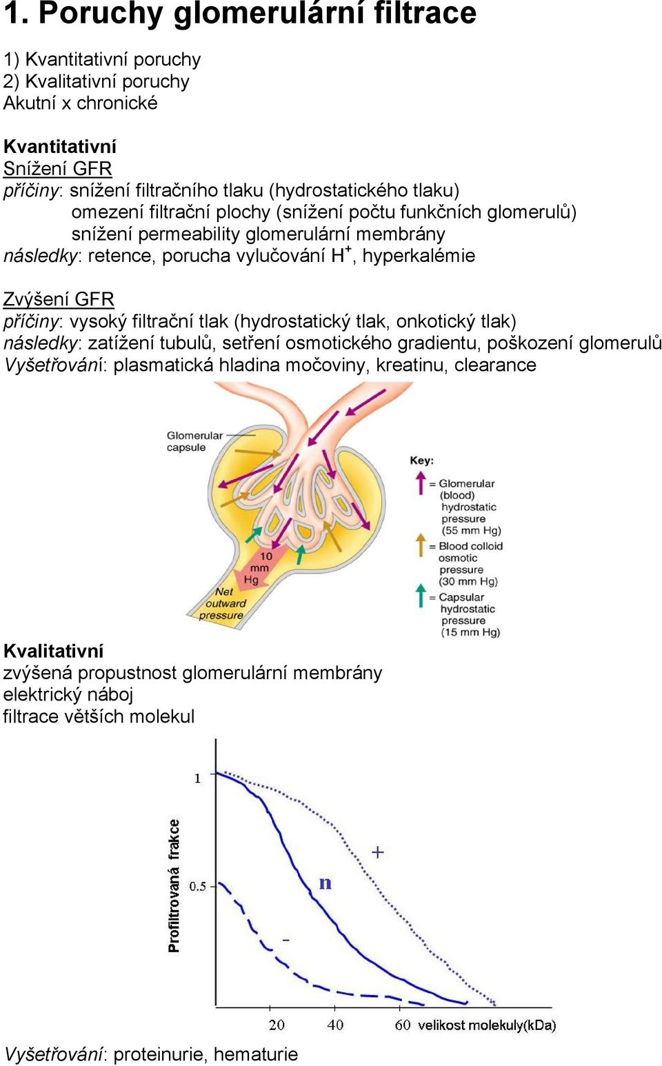 hyperkalémie Zvýšení GFR příčiny: vysoký filtrační tlak (hydrostatický tlak, onkotický tlak) následky: zatížení tubulů, setření osmotického gradientu, poškození glomerulů