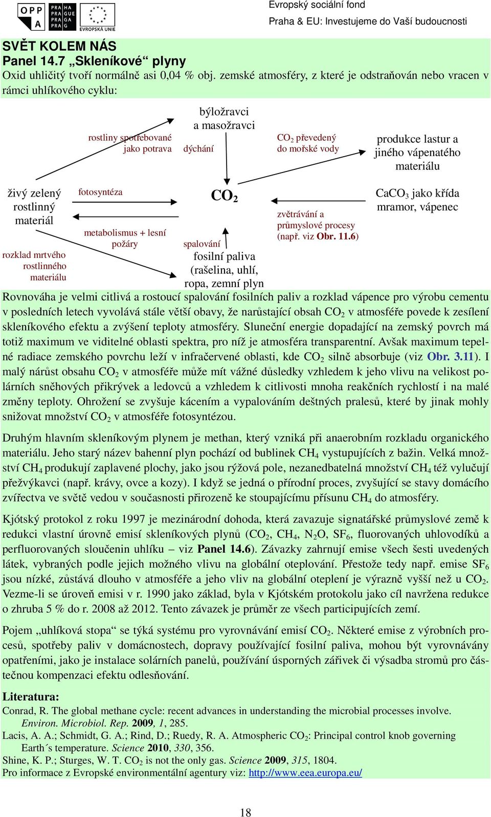 masožravci dýchání CO 2 převedený do mořské vody produkce lastur a jiného vápenatého materiálu fotosyntéza CO 2 CaCO 3 jako křída mramor, vápenec metabolismus + lesní požáry spalování fosilní paliva