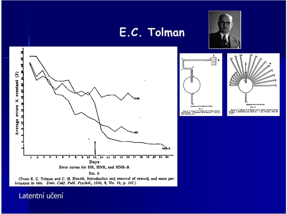 Tolman