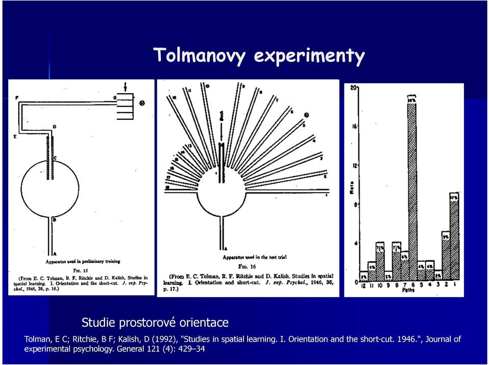 spatial learning. I. Orientation and the short-cut. 1946.