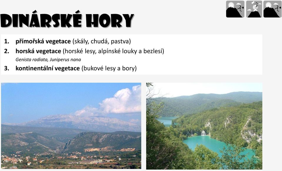 horská vegetace (horské lesy, alpínské louky a