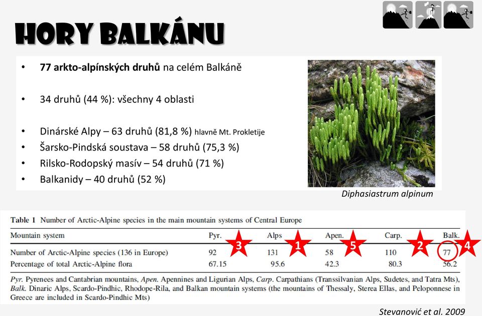 Prokletije Šarsko-Pindská soustava 58 druhů (75,3 %) Rilsko-Rodopský masív