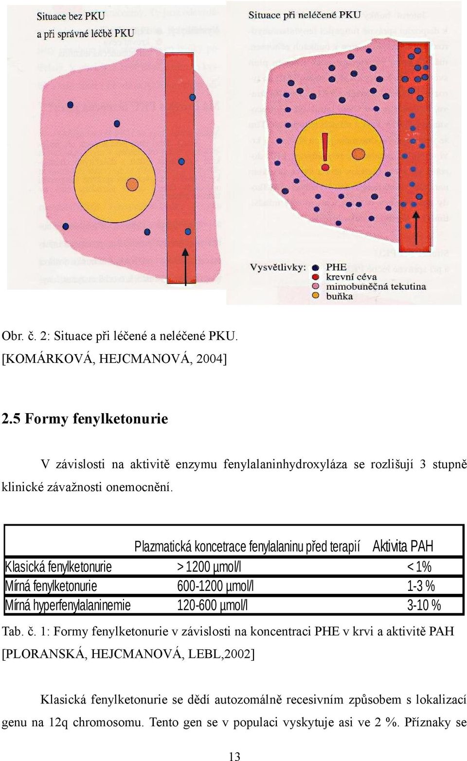 Plazmatická koncetrace fenylalaninu před terapií Aktivita PAH Klasická fenylketonurie > 1200 µmol/l < 1% Mírná fenylketonurie 600-1200 µmol/l 1-3 % Mírná