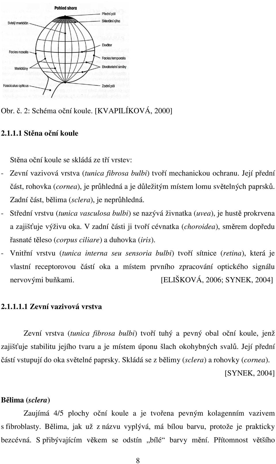 - Střední vrstvu (tunica vasculosa bulbi) se nazývá živnatka (uvea), je hustě prokrvena a zajišťuje výživu oka.