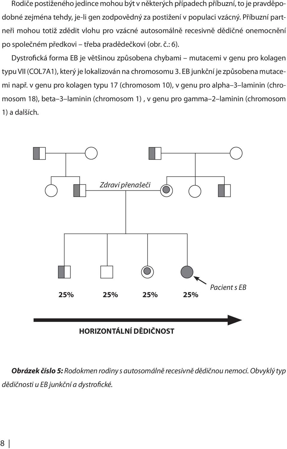 Dystrofická forma EB je většinou způsobena chybami mutacemi v genu pro kolagen typu VII (COL7A1), který je lokalizován na chromosomu 3. EB junkční je způsobena mutacemi např.