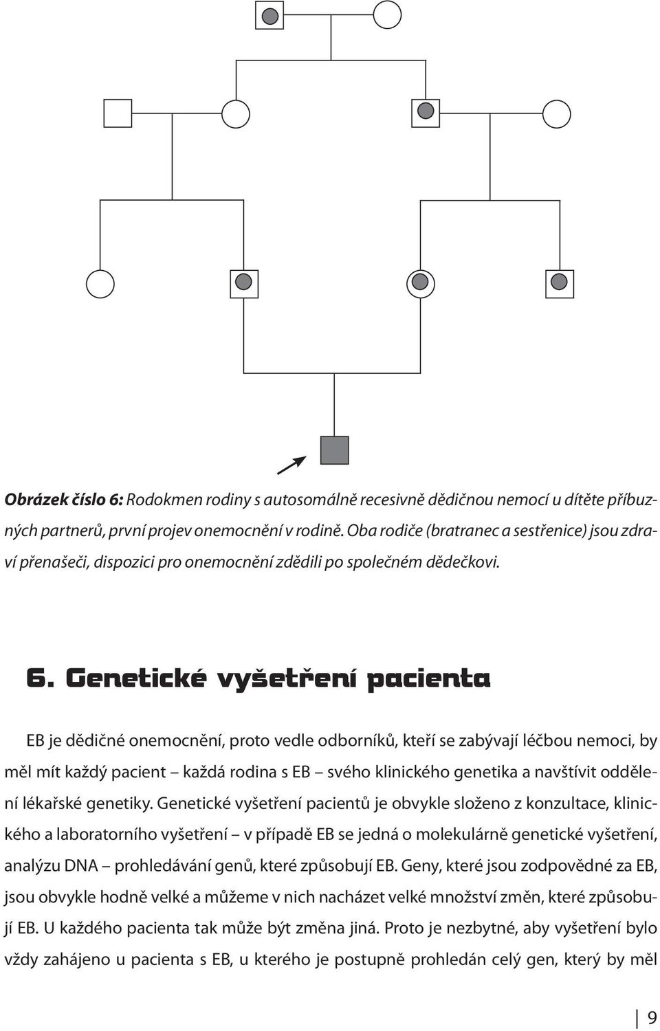 Genetické vyšetrení ˇ pacienta EB je dědičné onemocnění, proto vedle odborníků, kteří se zabývají léčbou nemoci, by měl mít každý pacient každá rodina s EB svého klinického genetika a navštívit