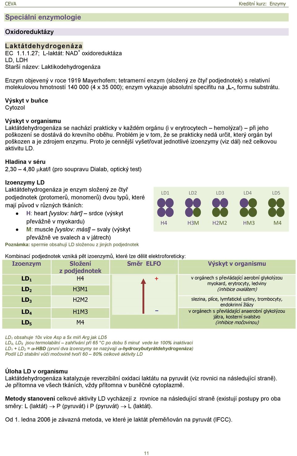 hmotností 140 000 (4 x 35 000); enzym vykazuje absolutní specifitu na L- formu substrátu.