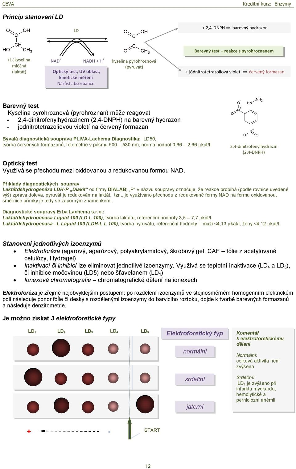 na barevný hydrazon - jodnitrotetrazoliovou violetí na červený formazan Bývalá diagnostická souprava PLIVA-Lachema Diagnostika: LD50, tvorba červených formazanů, fotometrie v pásmu 500 530 nm; norma