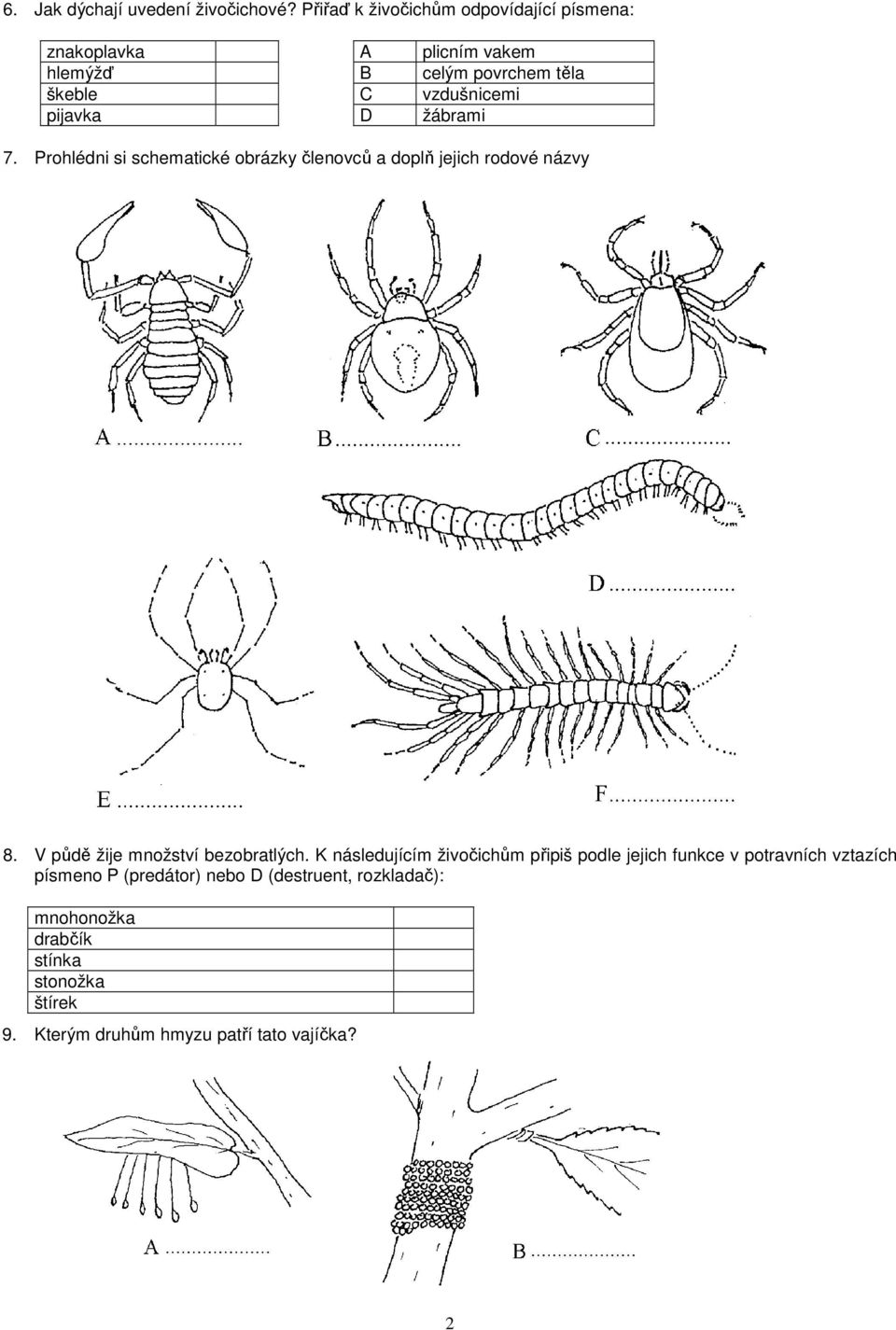 pijavka D žábrami 7. Prohlédni si schematické obrázky členovců a doplň jejich rodové názvy 8.