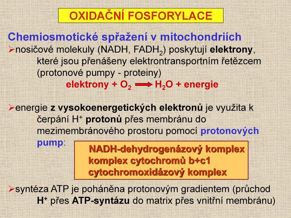 využita k čerpání H + protonů přes membránu do mezimembránového prostoru pomocí protonových pump: NADH-dehydrogenázový komplex komplex