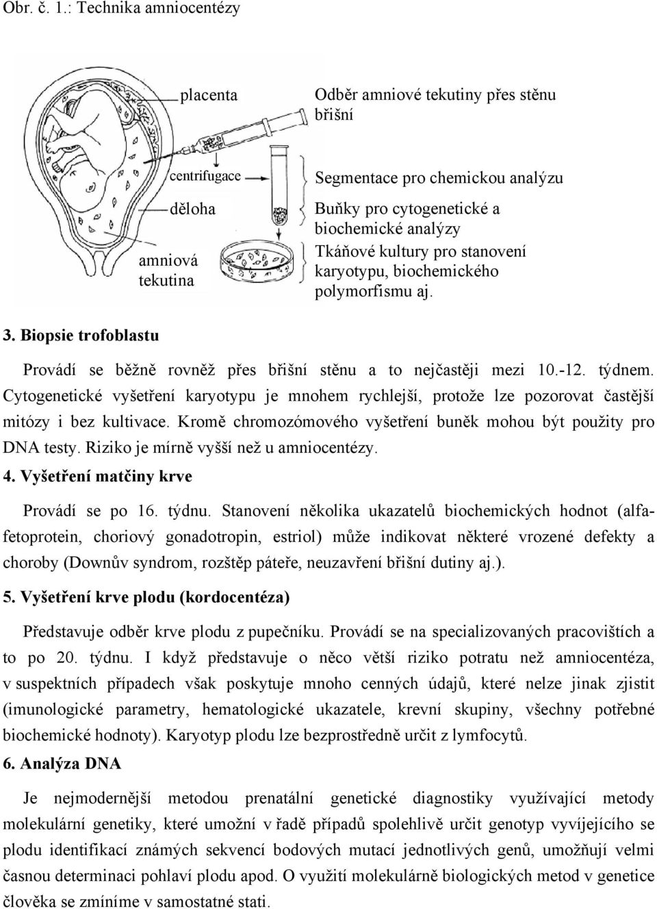 kultury pro stanovení karyotypu, biochemického polymorfismu aj. 3. Biopsie trofoblastu Provádí se běžně rovněž přes břišní stěnu a to nejčastěji mezi 10.-12. týdnem.