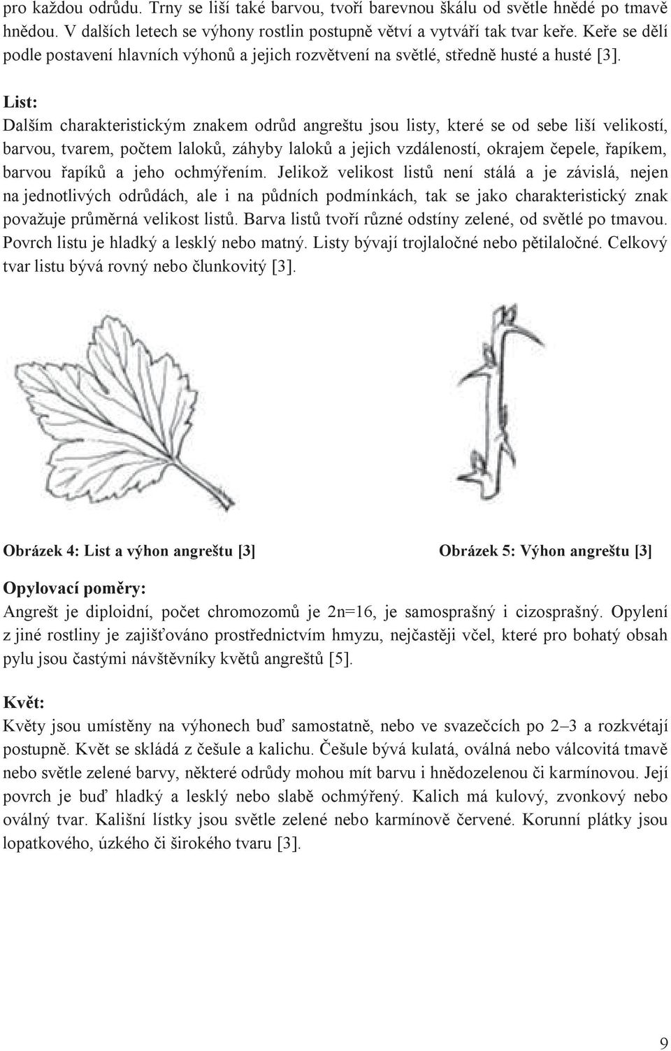 List: Dalším charakteristickým znakem odrůd angreštu jsou listy, které se od sebe liší velikostí, barvou, tvarem, počtem laloků, záhyby laloků a jejich vzdáleností, okrajem čepele, řapíkem, barvou
